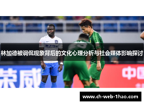 林加德被调侃现象背后的文化心理分析与社会媒体影响探讨 林加德被调侃现象背后的文化心理分析与社会媒体影响探讨