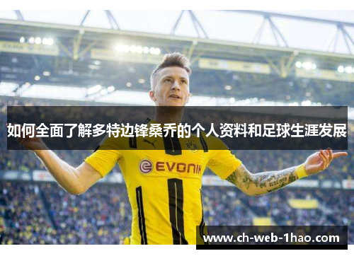 如何全面了解多特边锋桑乔的个人资料和足球生涯发展