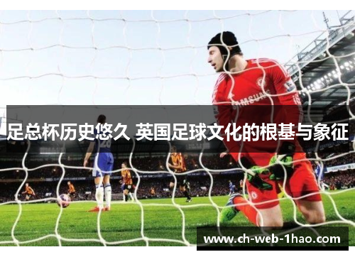 足总杯历史悠久 英国足球文化的根基与象征
